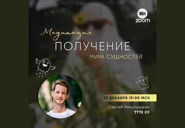 Сергей Наколюшкин Получение мира Сущностей 2022 слив