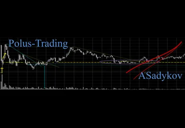 Первый курс Polus Trading - Анвар Садыков 2014 слив