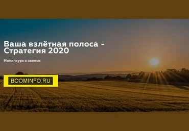 Дарья Игнатович Ваша взлётная полоса - стратегия 2020 слив