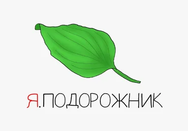 Антон Маркин Я.Подорожник 2024 слив