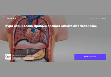 Станислав Дробышевский Архэ Анатомия человека. Лекция 5. Миология: мышцы 2024 слив