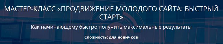 Ирина Шамина Мастер-класс «Продвижение молодого сайта: быстрый старт» слив курса