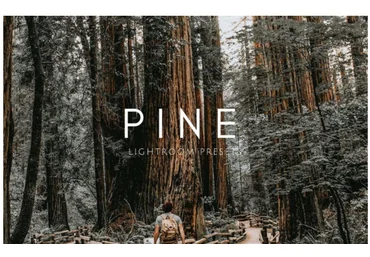 Elements.Envato PINE Warm Moody Outdoor Wedding Lightroom Presets 2021 слив