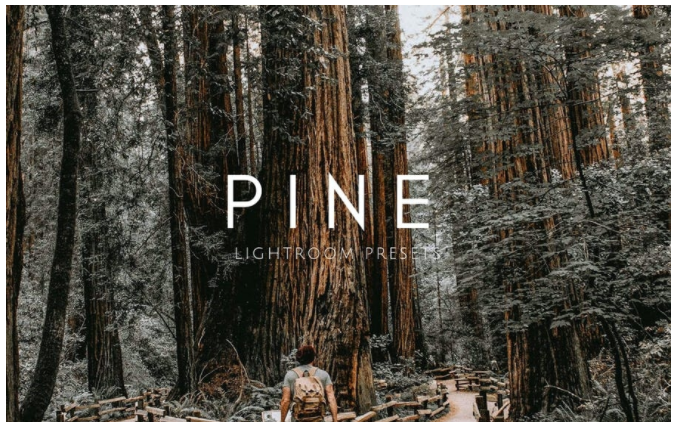 Elements.Envato PINE Warm Moody Outdoor Wedding Lightroom Presets 2021 слив курса