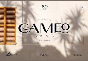 Creativefabrica Cameo Font 2021 слив