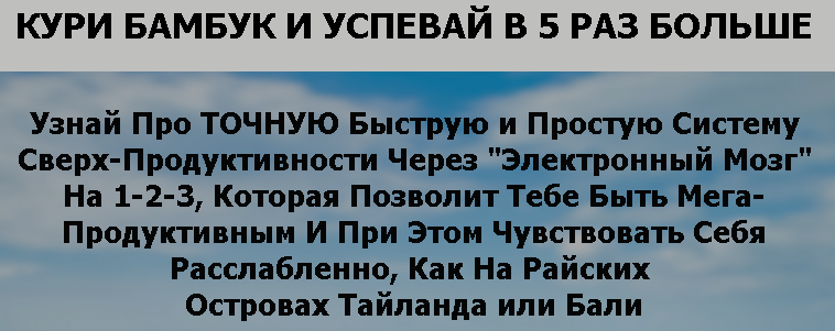 Шпионская система продуктивности от лучших спецагентов мира слив курса