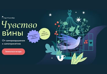 Ирина Гиберманн МИФ. Курсы Чувство вины 2022 слив