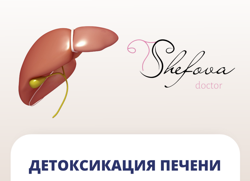 Шефова Юлия dr.shefova Детоксикация печени 2022 слив курса