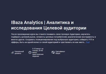 IBaza Analytics Stepik Аналитика и исследования Целевой аудитории 2023 слив