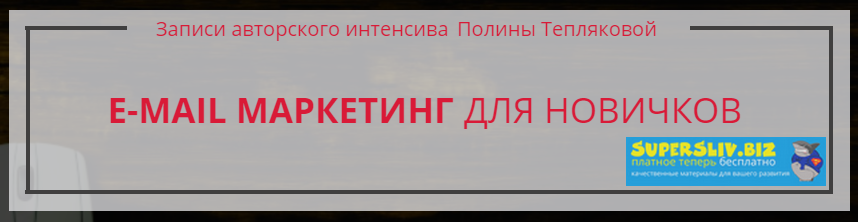 Полина Теплякова E-mail маркетинг для новичков 2019 слив курса