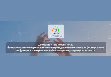 Лидия Лаврукович Фундаментальные неврологические паттерны движения человека 2024 слив