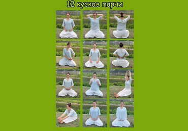Дарья Патока Древний комплекс Цигун «12 Кусков Парчи» 2024 слив