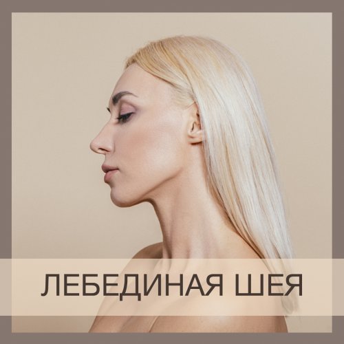 Дерюгина - Лебединая шея слив курса