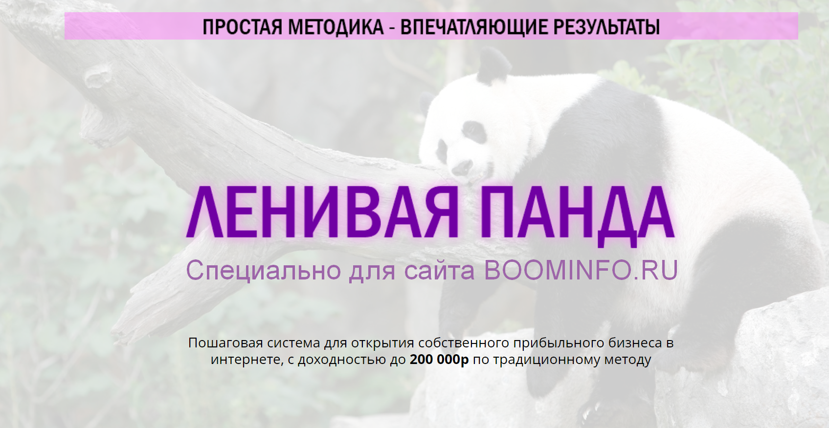 Сергей Филиппов Ленивая панда 2020 слив курса