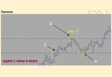 Sergey Алгоритм торговой системы для бинарных опцион 1.0 2021 слив