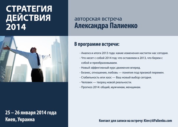 Стратегия действия - Палиенко 2014 слив курса