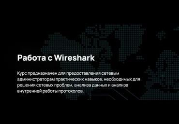 n4e Работа с Wireshark 2023 слив