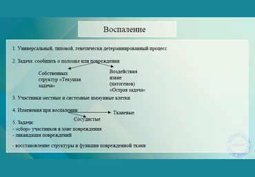 Юлия Блюм Вебинар «Нейровоспаление» 2022 слив