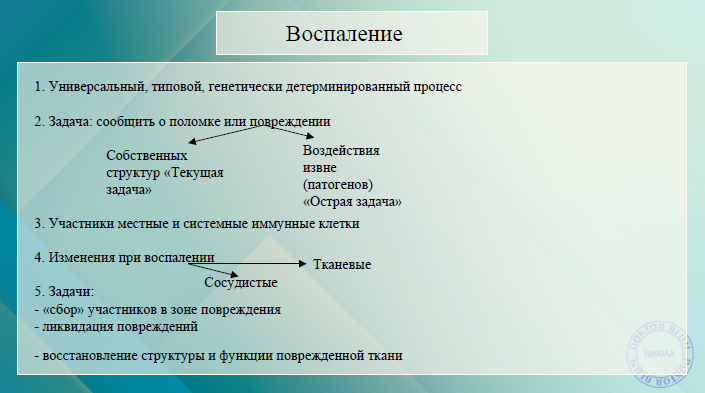 Юлия Блюм Вебинар «Нейровоспаление» 2022 слив курса