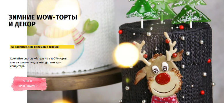 Даяна Лус Egor.Team Зимние Wow-торты и декор. Тариф Бизнес 2022 слив курса