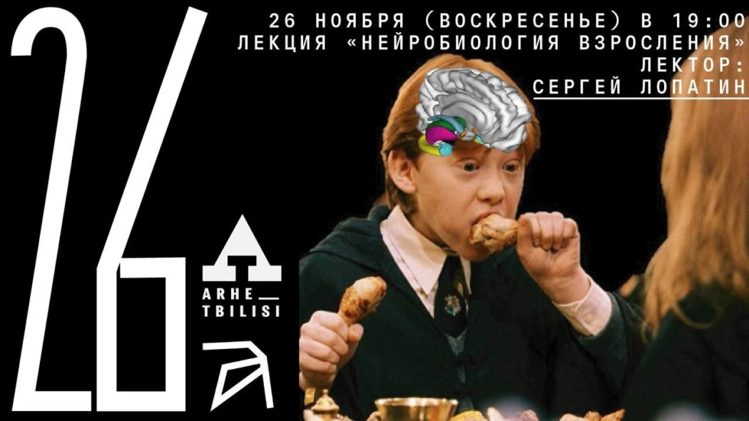 Архэ Сергей Лопатин - Нейробиология взросления 2023 слив курса