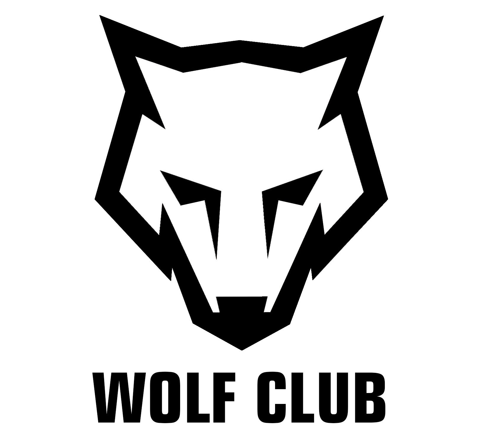 Юрий Бойцов WOLF CLUB - Intagram, VK SMM, Арбитраж 13.10.2018 слив курса