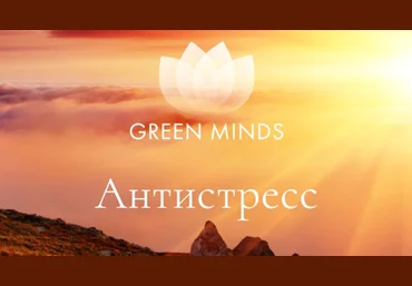Алексей Ситников Нейромедитация Green Minds «Антистресс» 2023 скачать слив