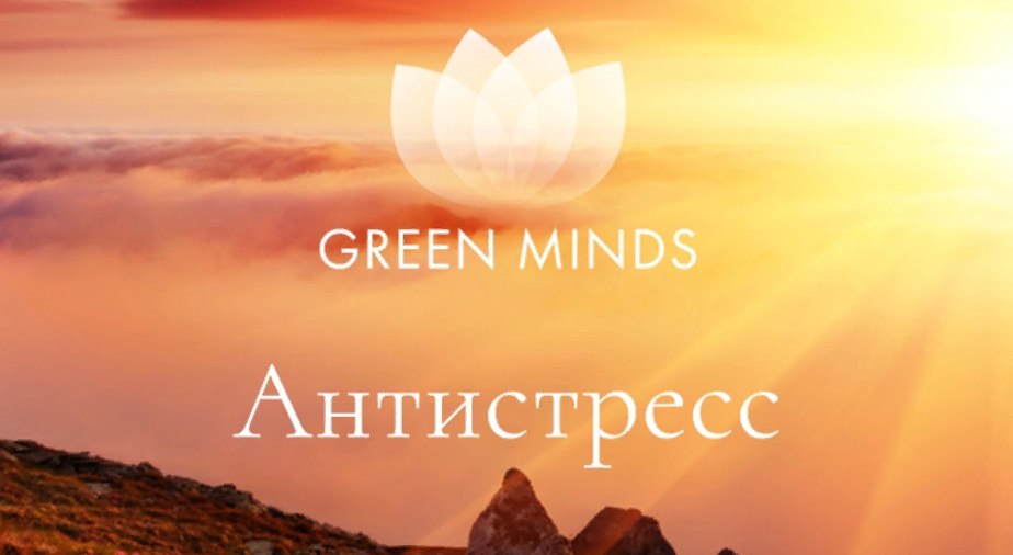 Алексей Ситников Нейромедитация Green Minds «Антистресс» 2023 слив курса