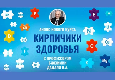 Владимир Дадали Кирпичики здоровья 2024 слив