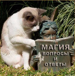 Диагностика фото - Карташова 2015 слив курса