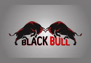 Black Bull Обучение слив