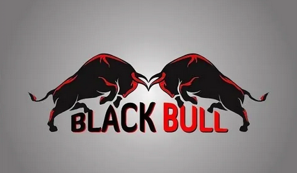 Black Bull Обучение слив курса