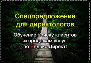 Обучение поиску клиентов и продажам услуг настройки Яндекс.Директ - Суворова 2016 слив