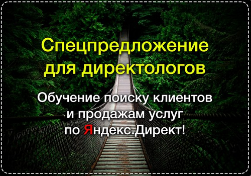 Обучение поиску клиентов и продажам услуг настройки Яндекс.Директ - Суворова 2016 слив курса