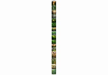 Ray Light Maker 1- Photoshop Action слив