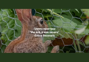 Елена Веселаго Институт Открытого Поля Им всё, а мне ничего 2024 слив