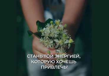 disha greshnova Будь той энергией, которую хочешь привлечь 2023 скачать слив