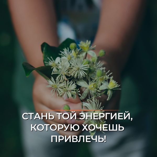 disha greshnova Будь той энергией, которую хочешь привлечь 2023 слив курса