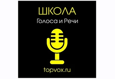 Мастерство оратора - Шестакова 2014 слив