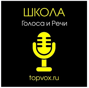 Мастерство оратора - Шестакова 2014 слив курса