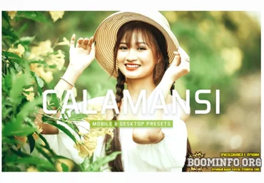 Elements.Envato Calamansi Mobile & Desktop Lightroom Presets 2021 скачать слив