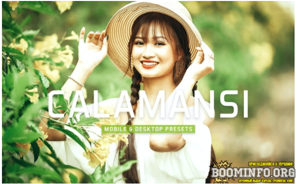 Elements.Envato Calamansi Mobile & Desktop Lightroom Presets 2021 слив курса