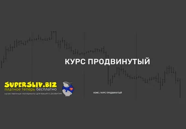 Анатолий Панов Продвинутый трейдинг 2019 скачать слив