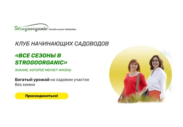 Strogoorganic Курс начинающего садовода для занятых женщин с помощью методики «Нисо» 2021 слив