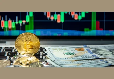 Pifagor Trade «Всё, что я знаю» - курс обучения торговле криптовалютой на бирже 2023 скачать слив