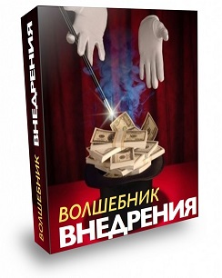 Волшебник Внедрения - Берестнев слив курса