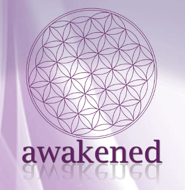 Симулятор LSD - Awakened 2017 слив курса