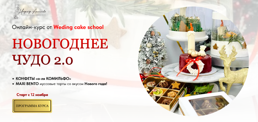 Надежда Архипова Новогоднее чудо 2.0. Тариф Все и сразу 2023 слив курса