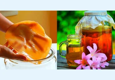 Анна Fermenterra Fermenterra Чайный гриб с нуля 2023 слив