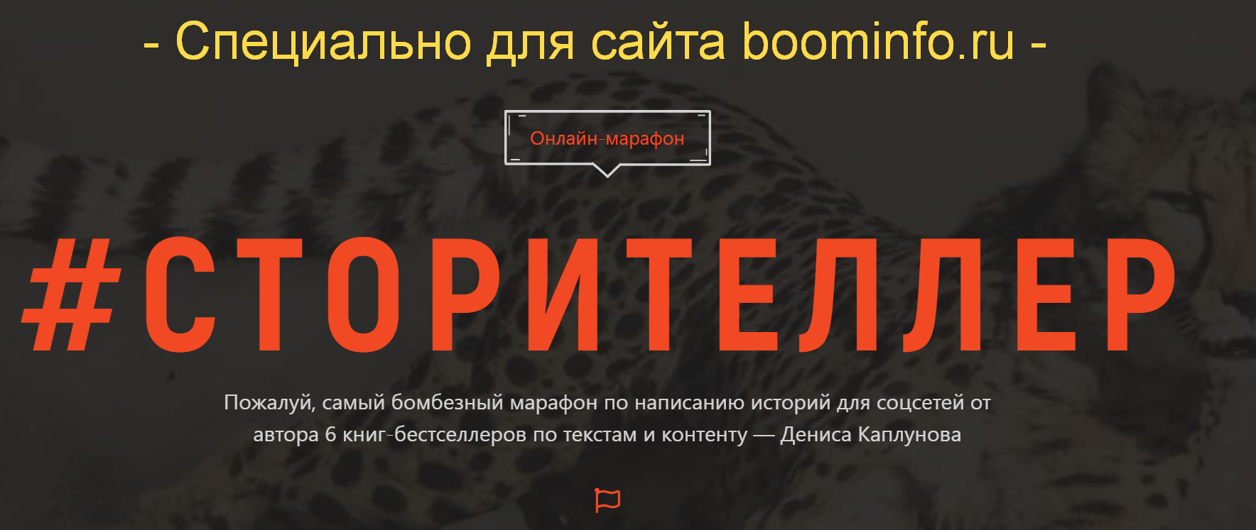 Денис Каплунов Сторителлер 2019 слив курса